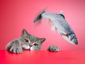 Spralla kissan lelu räpistelevä kala