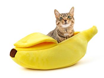 Spralla Banaani Kissansänky